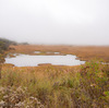 君の名は。の舞台？古代遺跡の眠る八島ヶ原湿原の謎のお宮を目指して。長野県下諏訪町旧御射山