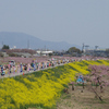 2009 長野マラソン vol.1【人気の理由】編。