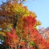 高尾山　薬王院　有喜寺