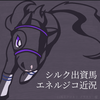 シルク出資馬エネルジコ、調教順調も注目の次走は…？(2025/03/07)