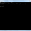 Windowsのターミナル環境にCmderを使う　～Nyagosとmsys2を添えて～