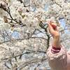 2025年4月【4歳差兄妹の成長記録】4歳8ヶ月&8歳8月