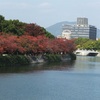 平和大通りの紅葉があまりにきれいだったので撮ってきました