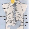 喉と神経？