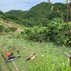 夏草や天城連山どこまでも（あ）