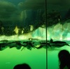 <span itemprop="headline">名古屋港水族館４ペンギンやウミガメ</span>