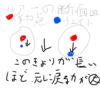 昨シーズン、作り続けてなんとなく分かった、泳ぐルアーの傾向。