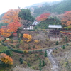 京都の旅−６（善峯寺）