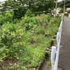 法面の草刈り　0528