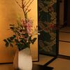 春花を眺めて春を待つ