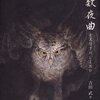  書評:素数夜曲