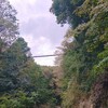 ココスバイキング後の星のブランコ。
