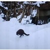 数人の役者の名だけで録画しておいた「聖の青春」で死を貼りつけられた若い男がそうでもないような若い男に答える「そんなことよりも」。＋殆ど飛ばし読みした本で理由の無意味を知る。 21/05/03 15:09