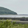 鷹の渡らない雨の伊良湖岬