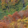 鉾立の展望台から　奈曽渓谷を眺めました