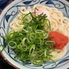 毎回野菜かき揚げに敗北【丸亀製麺】