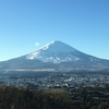 のんびり帰省した冬休み