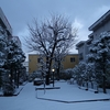 昨日の朝「雪景色」