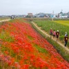 ＜レポ＞FUNRUN758「旅ランSpecial in 半田」。