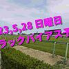 2023,5,28 日曜日 トラックバイアス予想 (東京競馬場、京都競馬場)