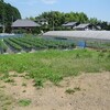 今日の草刈り