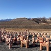 保渡田八幡塚古墳 (その1)  高崎市保渡田町