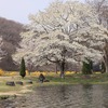 2023-04-05 福島県の風景