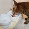匂いには勝てないが・・