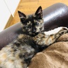 うちの子記念日(^O^)／