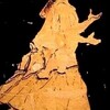 アンティッサ：目次
