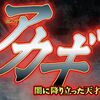 パチスロ アカギ 闇に降り立った天才 解析情報