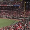 【プロ野球】「カープ女子」は消えたのか？