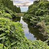 天姓院の沼（仮称）（宮城県大和）