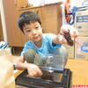 成長日記♫2023/8/13♫生物好き７歳小２男子♫クワガタの飼育