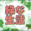 2階の緑化計画を着々と進めている私の最近の推しは多肉植物です。