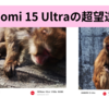 【続き】Xiaomi 15 Ultraの超望遠ズームで撮影