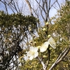 地震がありました（1月28日朝）