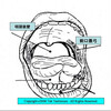 前口蓋弓の刺激は感覚誘導なのか
