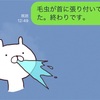 虫とそれから私
