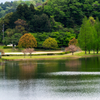 日野川ダム湖（滋賀）