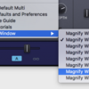 2.3.1.6. Magnify Window
