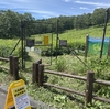 乙女高原を外来種から守る草刈り＆遊歩道草刈り