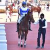 ２日に帰厩。次走は２６日の阪神・ダ１４００ｍへの出走を予定しています。☆ロードオルデン