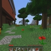 Play With Minecraft Mods!