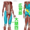扁平足になる原因