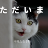 ただいま。の巻