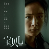中国映画レビュー&解説「宝贝儿（宝貝兒） Baby」