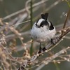 何故か一日　近所の公園。。。？