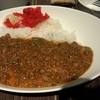 新大阪駅でカレー