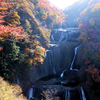 《茨城大子町》紅葉の袋田の滝へ